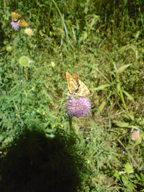 Unlocking My Private Locker: Raw Confession of Forbidden Lust with Lucie